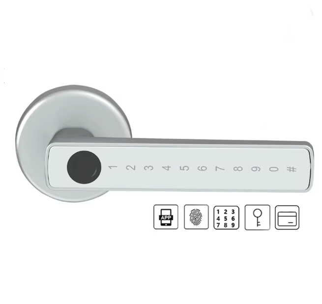 Poignée de porte connectée Seranor, finition argent